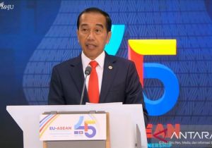 Indonesia encourages ASEAN-EU partnership conducted based on equality