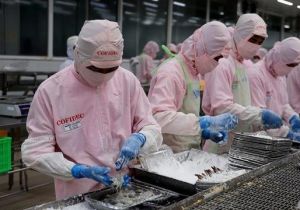 Vietnam's new import-export revenue record set