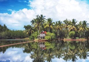 ADB Approves $93 Million Loan for Indonesia Shrimp Farming Sector