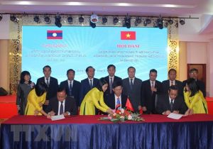 Vietnamese, Lao localities strengthen ties