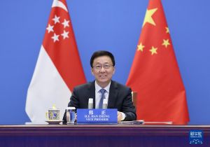 Chinese vice premier holds phone talk with Singaporean deputy PM