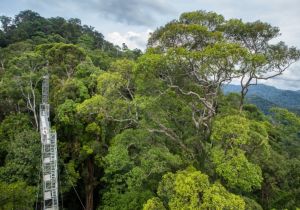 10 Reasons to Visit Brunei