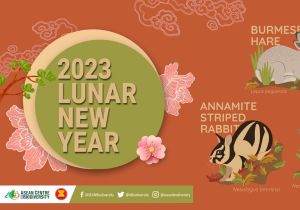 Putting a spotlight on ASEAN lagomorphs