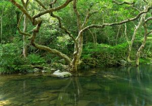 Brunei Darussalam: Nature-Based Tourism