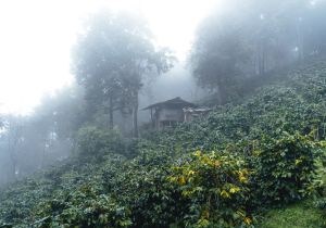 South East Asia&rsquo;s Soft Adventure