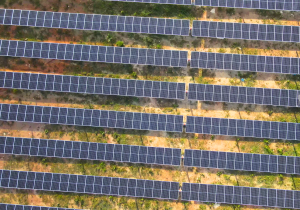 Moving Beyond Fossil Fuels for a Clean and Green Cambodia - Jyotsana Varma