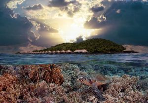 The Philippines feted Best Dive Destination anew