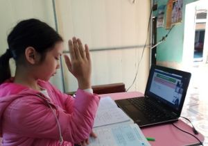 Vietnam among four countries demonstrating gender parity in digital skills: UNICEF
