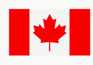 Global Affairs Canada engages international partners on Myanmar sanctions efforts