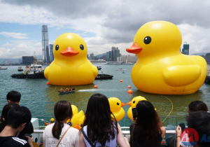 Hong Kong welcomes back its favorite giant rubber ducks after 10 years