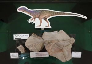 Thailand discovers new dinosaur in Kalasin province, the country’s 13th such find