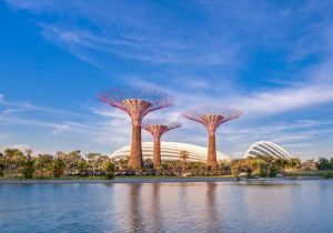 The Natural Wonders of Singapore 