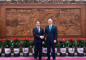 Chinese Assistant Foreign Minister Meets with Bruneian Ambassador to China 