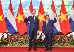 Vietnamese Prime Minister holds talks with Dutch counterpart Mark Rutte