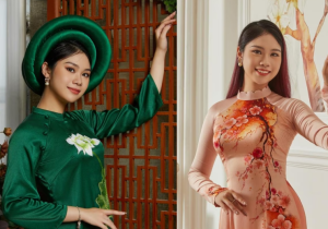 Vietnam's girl won the title of beauty queen and master's degree in France