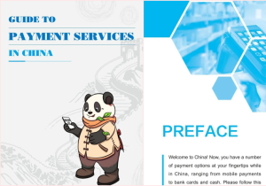 Guide to Payment Services in China