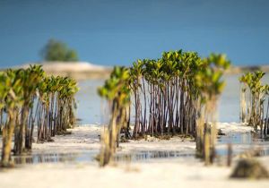 ADB Readies ASEAN Climate Finance Policy Platform 