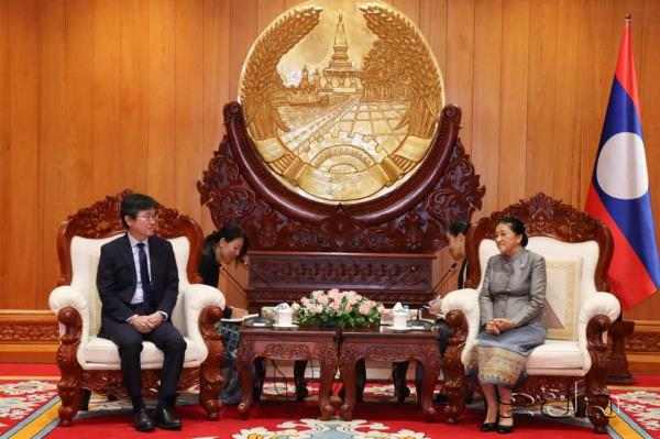 Lao Vice President receives Japanese Ambassador