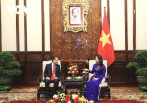Vietnamese acting president hosts newly-accredited ambassadors