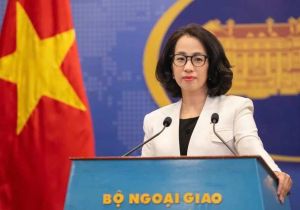 Vietnam repatriates over 450 citizens from Myanmar