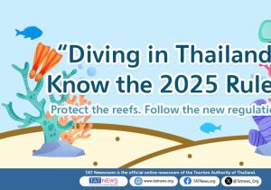 Stricter Regulations for Diving Activities Now in Effect in Thailand