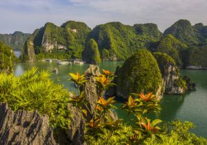 Ha Long Bay listed among ASEAN’s top 15 tourist destinations