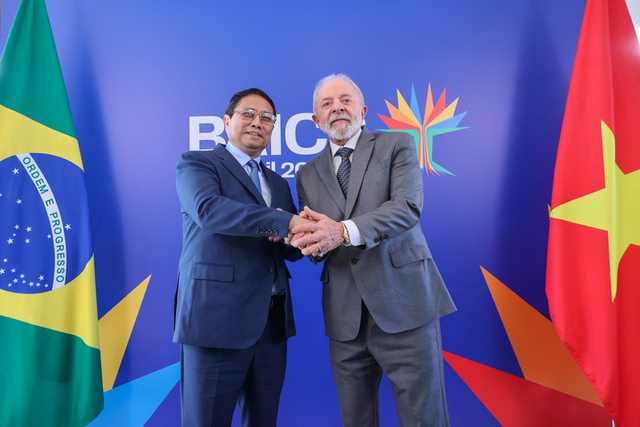 Vietnamese Prime Minister holds talks with Brazilian President ahead of BRICS Summit