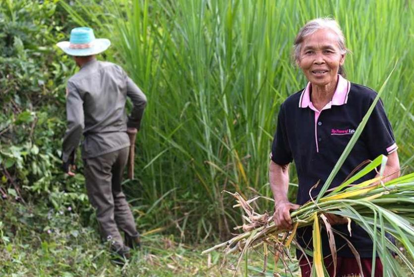 ADB to Support Agrifood Systems Transformation in Laos