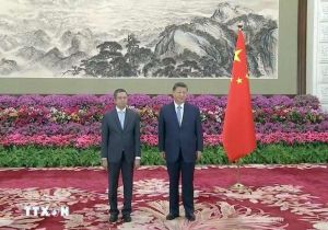 Vietnamese Ambassador presents credentials to Chinese President Xi Jinping