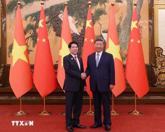 Vietnamese President holds talks with top Chinese leader Xi Jinping