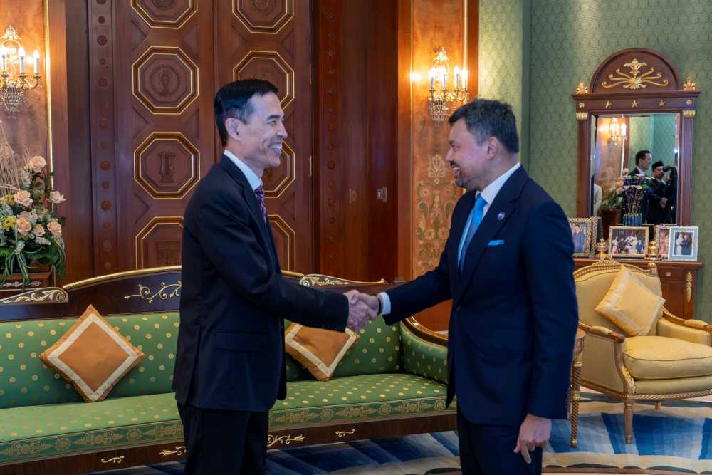 Chinese Ambassador to Brunei Pays A Farewell Audience with Brunei Crown Prince Billah and Princess Hajah Masna