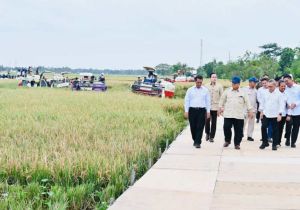 Indonesian ​President Prabowo Announces Indonesia Food Self-Sufficiency