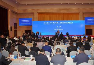 The Sixth Belt and Road China-Malaysia Business Dialogue Held in Yinchuan, China