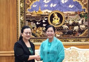 Chinese Ambassador to Myanmar Pays a Courtesy Call on Myanmar&rsquo;s Vice President Nan Ni Ni Aye