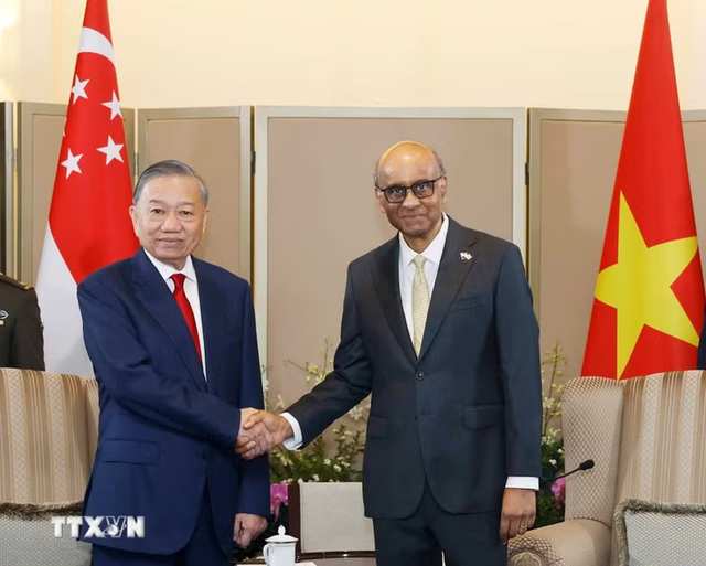 Top Vietnamese leader holds talks with Singaporean President