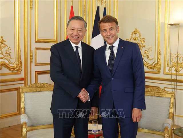 Top Vietnamese leader holds talks with French President Macron in Paris