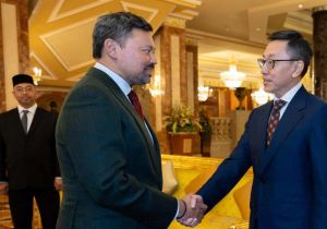 Brunei Crown Prince Meets with Chinese Ambassador to Brunei Chen Shaochun