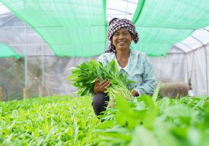 ADB Advances Resilient Agriculture and Women's Economic Empowerment in Rural Cambodia