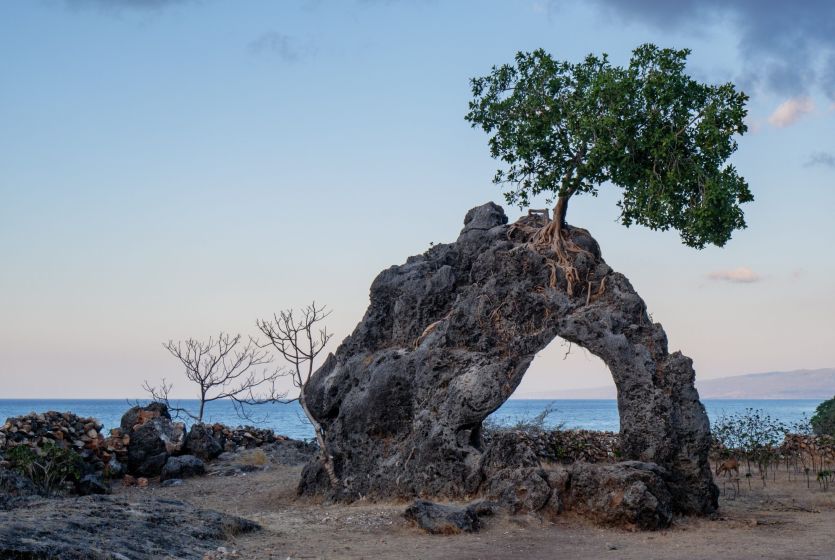 Timor-Leste History