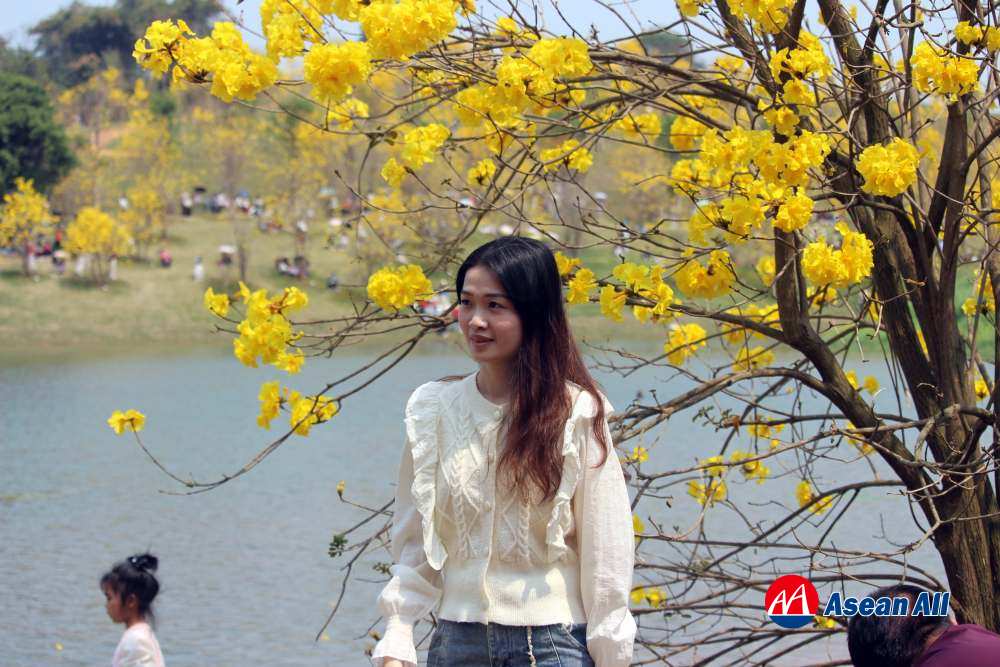 First Qingxiu Mountain Golden Bell Flowers Tourism Season in Nanning attracts a large number of tourists