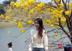 First Qingxiu Mountain Golden Bell Flowers Tourism Season in Nanning attracts a large number of tourists