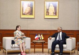 Brunei Minister of Defence II receives introductory call from Ambassador of France to Brunei