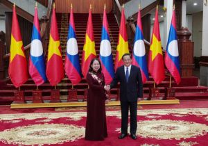 Lao Prime Minister Meets Vice President of Vietnam