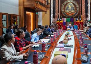 Timor-Leste President  and Commission D Discuss Strengthening the Petroleum Fund&rsquo;s Consultative Council