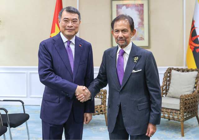 Vietnamese Prime Minister meets Sultan of Brunei in Cebu