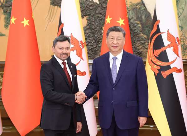 Chinese President Xi Jinping Meets with Crown Prince of Brunei Haji Al-Muhtadee Billah