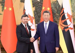 Chinese President Xi Jinping Meets with Crown Prince of Brunei Haji Al-Muhtadee Billah